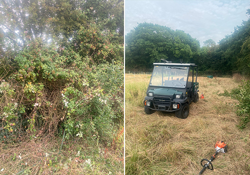 Site Clearance In Essex & London